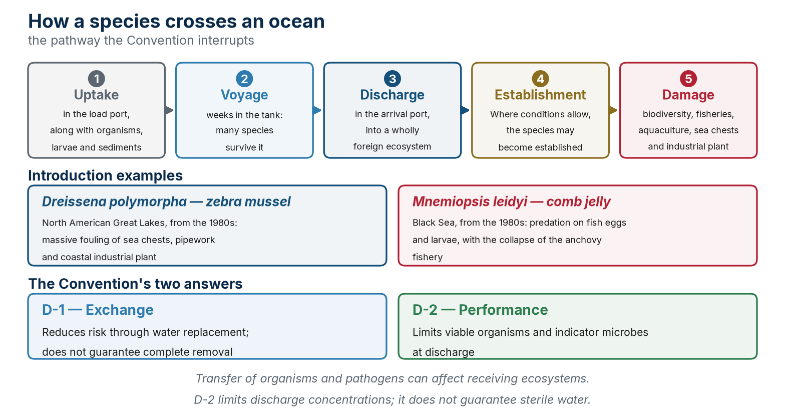 The pathway by which invasive species are introduced, two introduction examples and the Convention’s two answers.