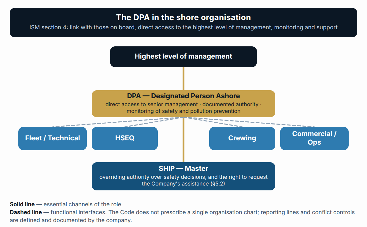 The DPA in the shore organisation: direct access to the highest level of management, a link with those on board, functional interfaces with the other functions (ISM section 4).