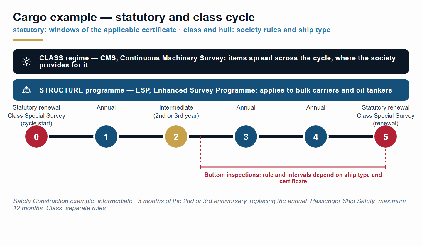 Five-year survey cycle under the harmonised regime (indicative diagram).