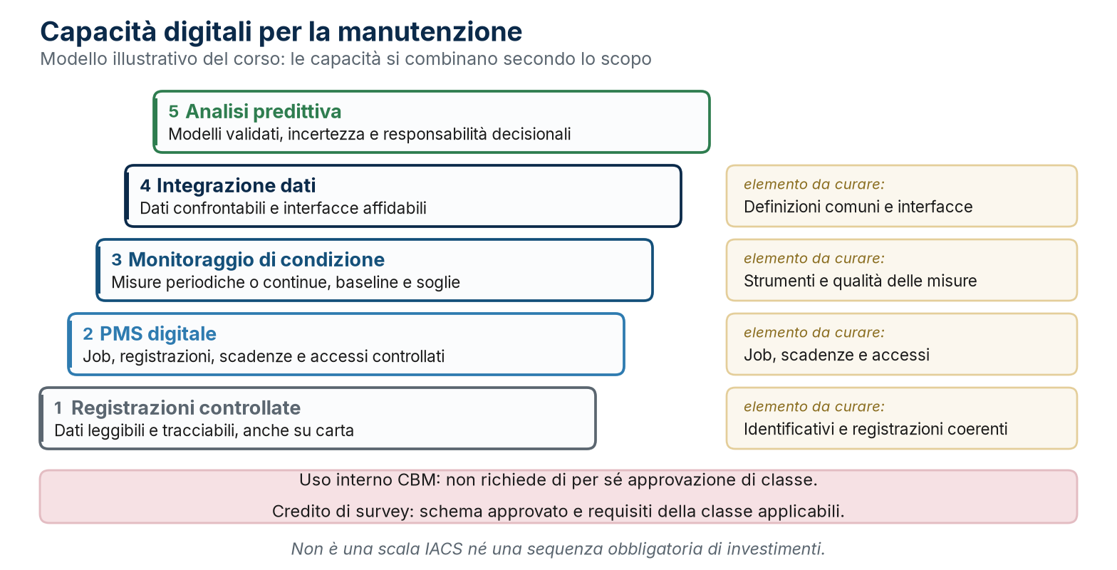 Capacità digitali: modello illustrativo del corso, non percorso obbligatorio IACS.